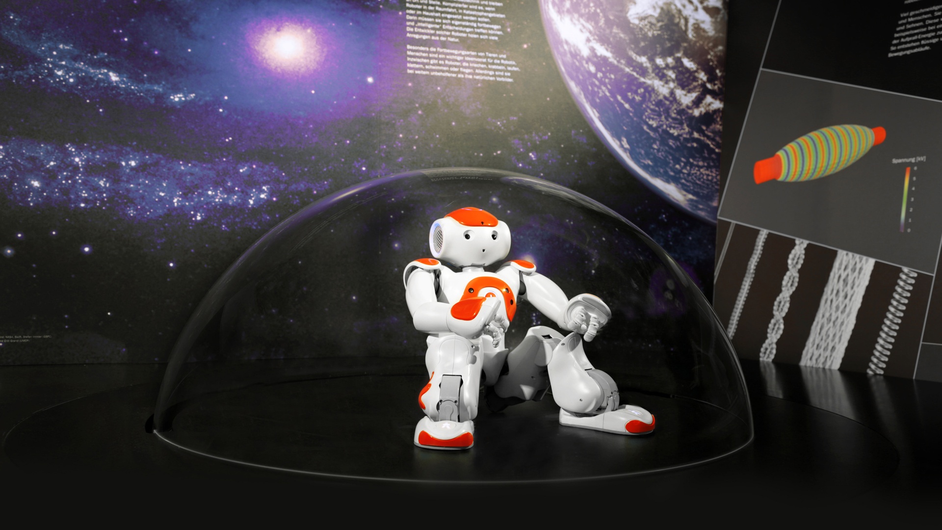 interaktive Exponate Roboter Nao Bionicum